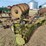 pt-18'-disc-harrow-image-4