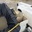2019-international-durastar-4300-image-38