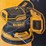 #15-•-dewalt-xr-sander-battery-and-charger-image-11