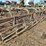 kmc-3pt-14'-field-cultivator-image-5