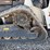 2023-bobcat-t86-image-19