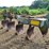 harrell-8205-image-2
