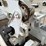 2018-international-durastar-4300-image-34