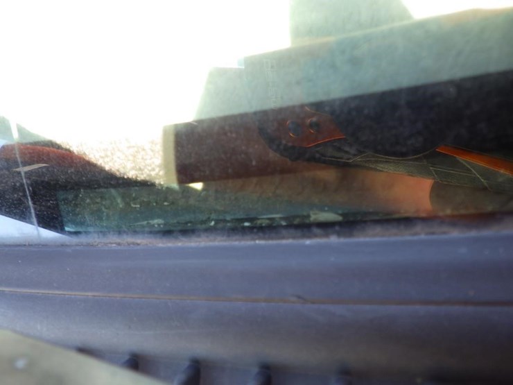 2004-toyota-tacoma-image-13