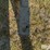 case-ih-p110-image-9