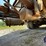 1992-mack-dm600gk-rear-discharge-concrete-mixer-truck-image-75