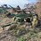 john-deere-pull-type-three-bottom-plow-image-8