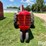 1951-massey-ferguson-30-image-2