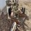 john-deere-no.-44-pull-type-two-bottom-plow-image-5