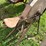 #9953-•-antique-grinding-wheel-image-2