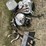 milk-buckets,-calf-carries,-yard-light-6425-image-1