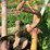#9926-•-post-hole-digger-for-tractor-with-extra-auger-image-7