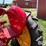 1951-massey-ferguson-30-image-20