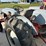 ford-jubilee-image-2