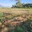 double-bale-feeder-#1-7473-image-8