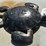 #125-•-metal-art---medium-brown-turtle-image-1