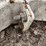 bin-skid-#2-7404-image-5