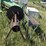 farm-buzz-saw-image-3