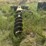 2012-bobcat-15c-post-hole-digger-image-3