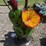 #113-•-metal-art---medium-cactus-w/-yellow-flower-image-3