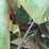 1993-john-deere-9600-image-37