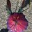 #140-•-metal-art---medium-cactus-w/-pink-flower-image-3