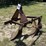 #166-•-ford-3-pt,-2-bottom-plow-image-1