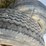 #9931-•-(2)-long-march-128-tires-image-8