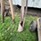 #9956-•-(6)-misc.-hand-tools-and-pulley-image-4