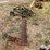 john-deere-no.5-image-4
