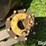 john-deere-15-image-16