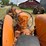 minneapolis-moline-g-image-19