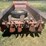 massey-ferguson-205-image-9