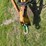 kent-6323d-image-9