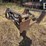 grouser-4500-image-11