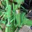 john-deere-6405-image-64
