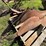 #9910-•-allis-chalmers-snap-coupler-4-bottom-plow-image-7
