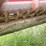 case-ih-1010-image-3