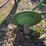 john-deere-three-point-two-bottom-plow-image-11
