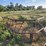 double-bale-feeder-#1-7473-image-9