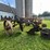 #9913-•-international-1-bottom-plow-image-1