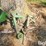 john-deere-200-image-7