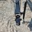 dmi-tiger-image-17