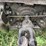 woods-15ft-batwing-rotary-mower-image-6