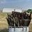 125x-5ft-used-t-posts-image-2