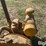 allis-chalmers-2-image-14