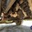 1997-mack-dm-concrete-mixer-truck-image-69