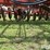 international-150-image-19