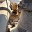#52611-•-1985-freightliner-single-cab-t/a-fertilizer-truck-2fupysyb5fh254590-inv#52611-image-69