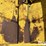 big-12-12k-image-16